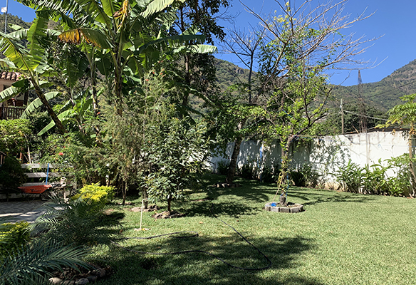 Hotel Second line with lake access for sale