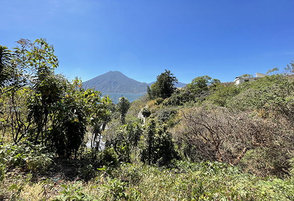SOLD  Prime Lot with Spectacular Views SOLD