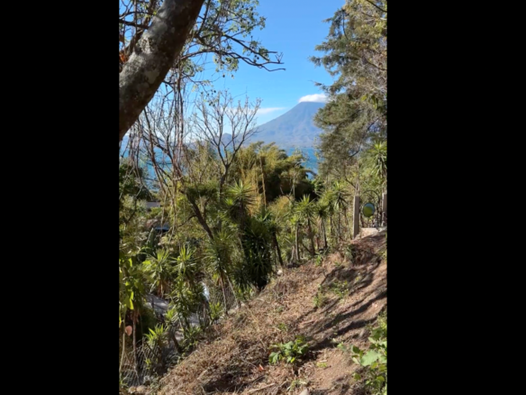 Great lot with lake view down town Sta Cruz OFF the market