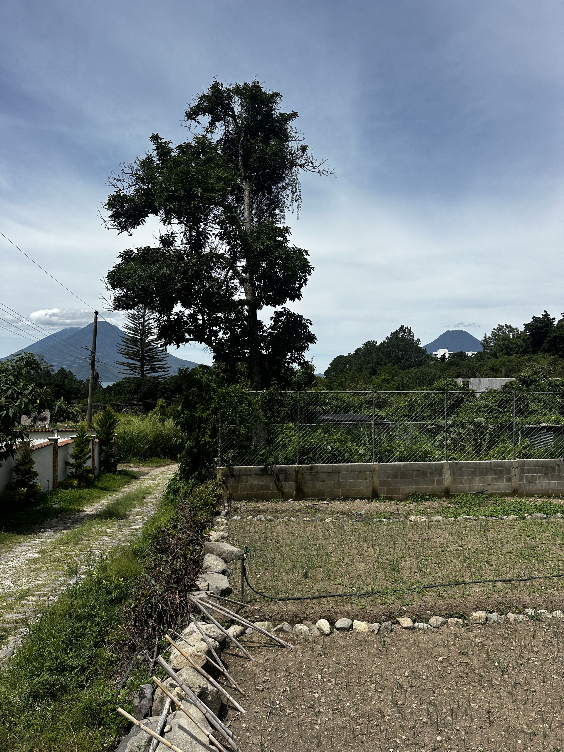 Panajachel lot with views, flat, titled for sale